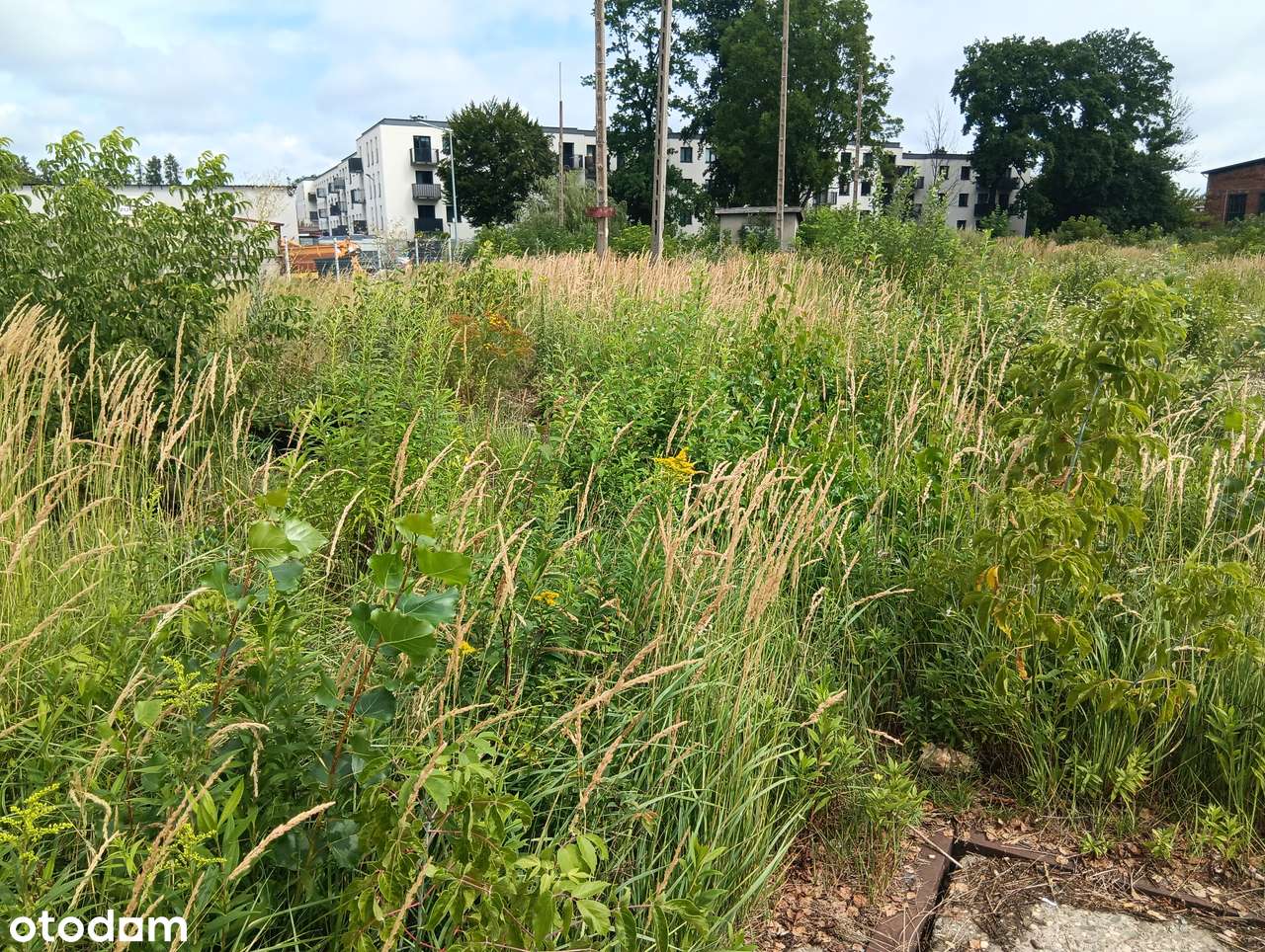 Atrakcyjna działka w Dębicy przy ulicy Saperów - Pełny obrazek: 5/5