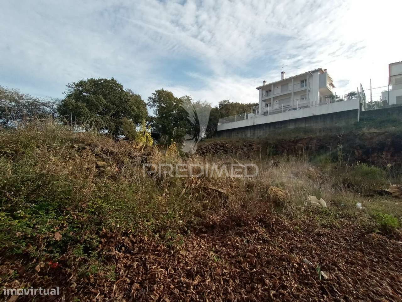 Lote - Grande imagem: 3/10