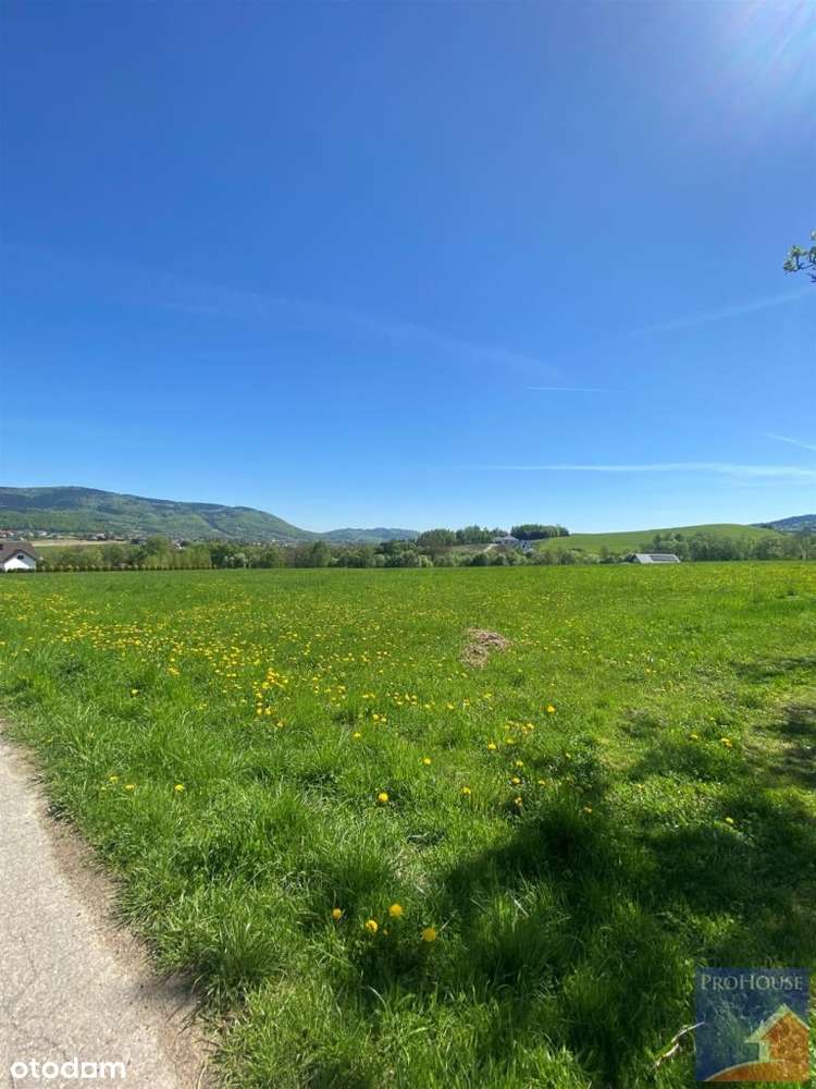 Działka, 1 546 m², Męcina - Pełny obrazek: 5/5