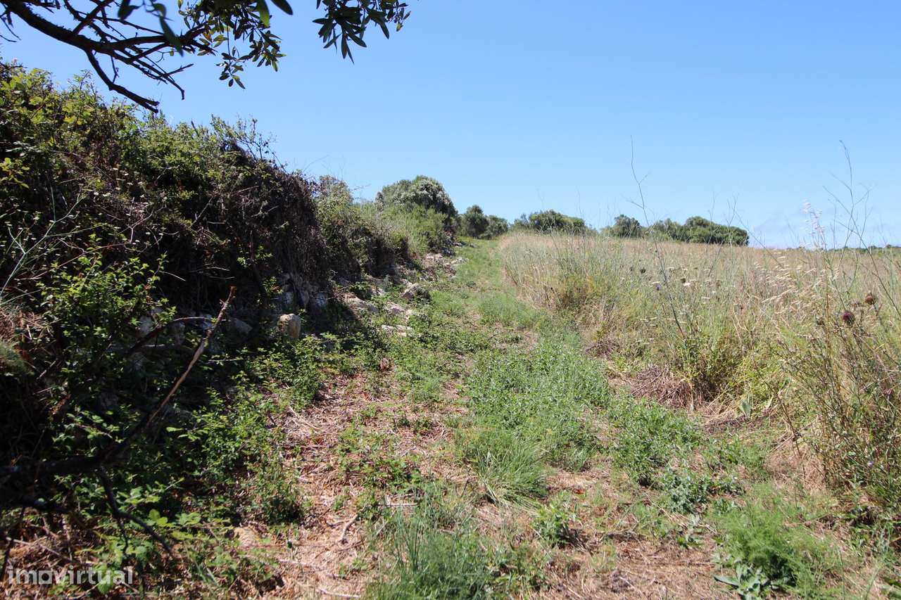 Terreno rústico com  1.160m²  na Assafora - Grande imagem: 5/6