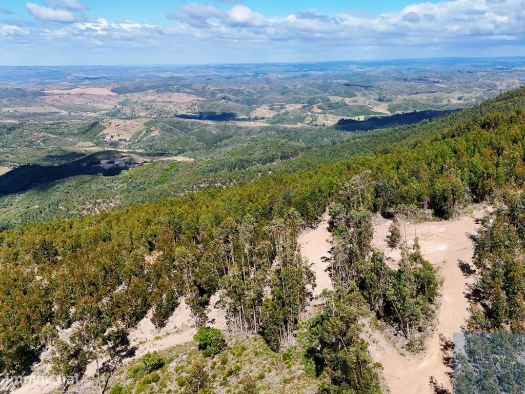 Terreno em São Teotónio, Odemira-24