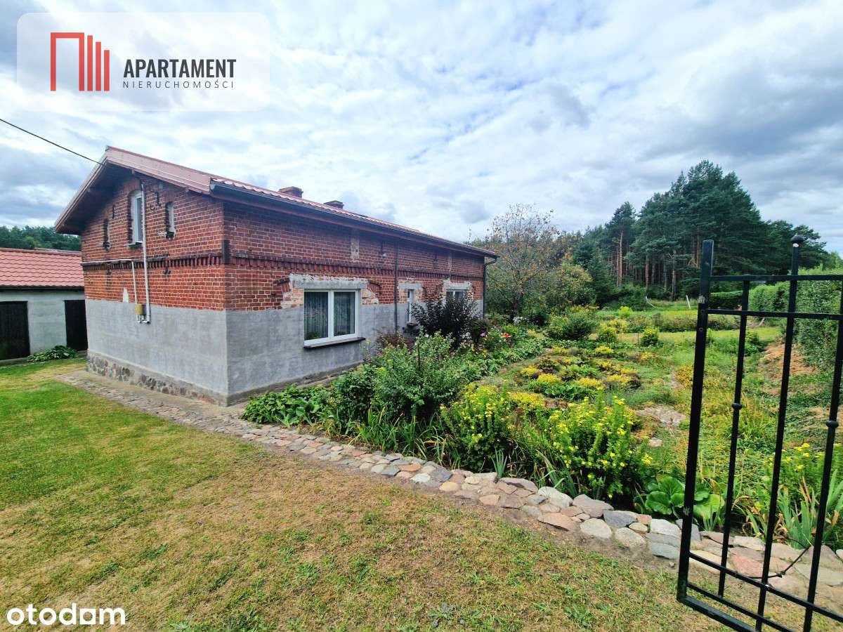 Siedlisko w Borach Tucholskich przy lesie! Staw! - Pełny obrazek: 4/16