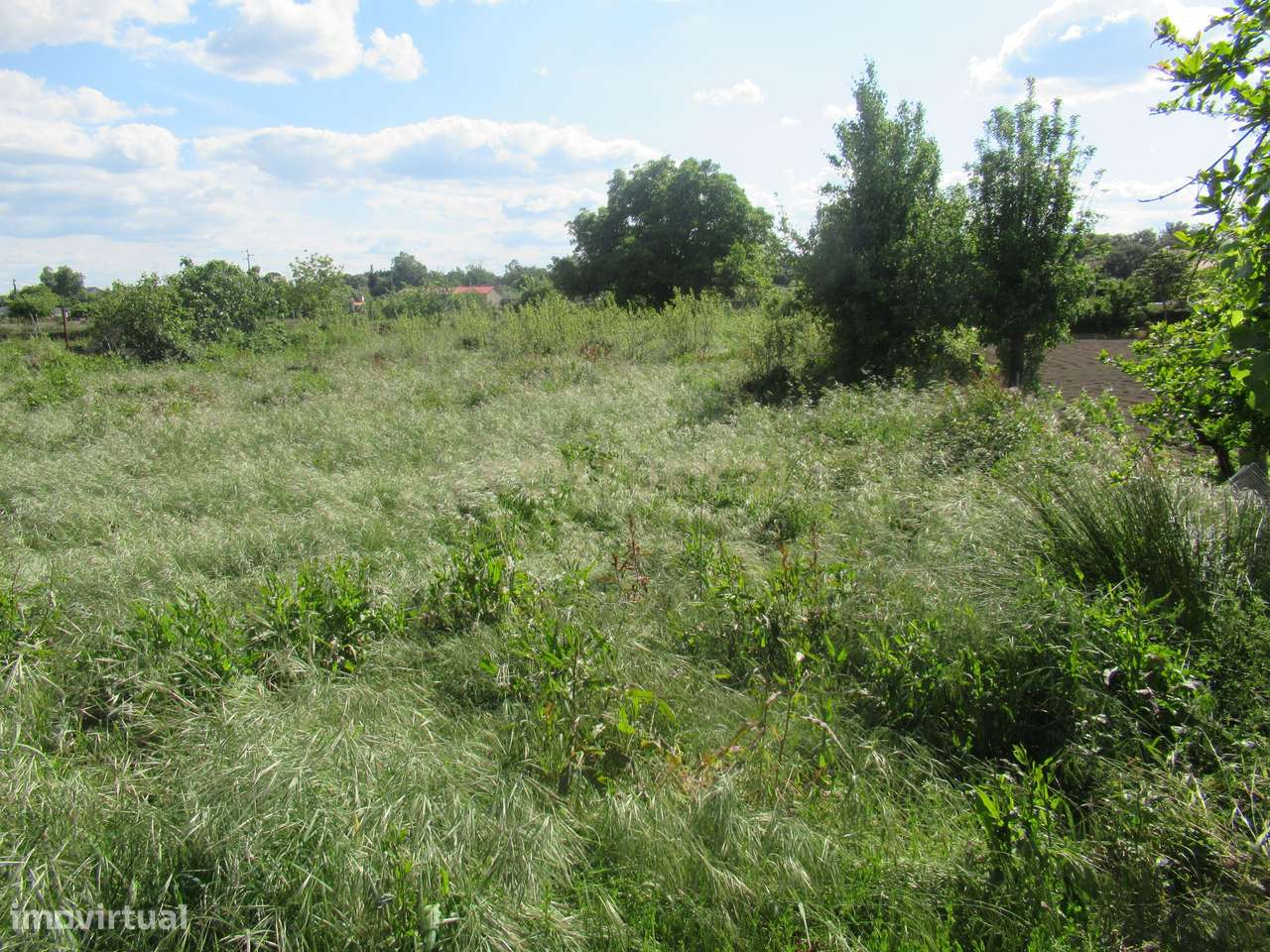 Terreno Rústico | Escalos de Baixo, Castelo Branco - Grande imagem: 5/10