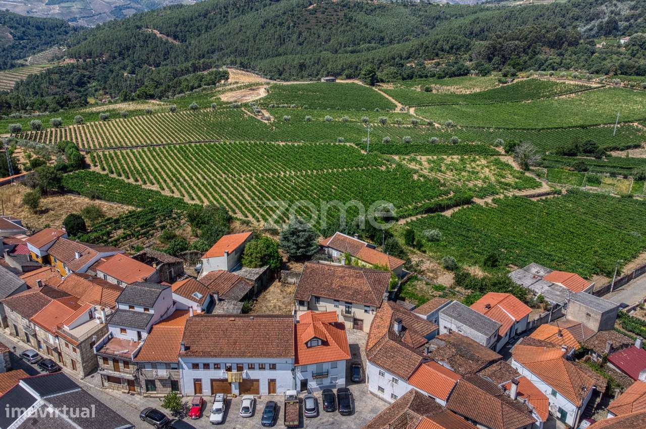 Moradia c/9 divisões, vinha e armazém em Lugar de São Gonçalo, Fava...-31