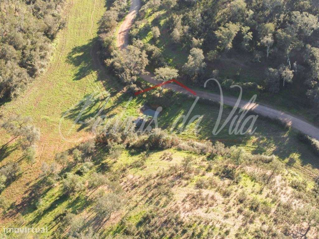 Monte Alentejano de 36ha com 3 ruinas - Pego das Pias - Odemira-18