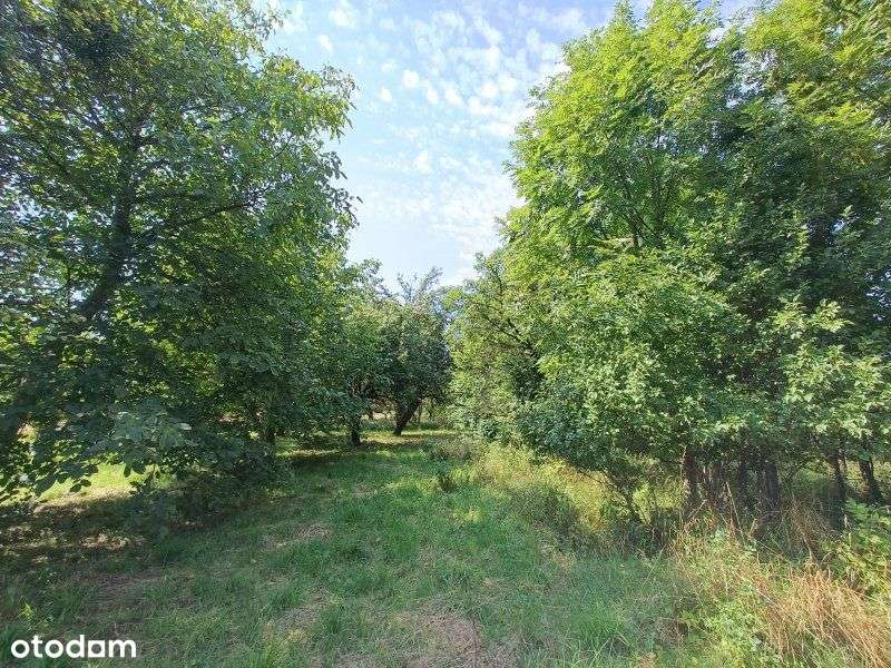 Widokowa działka budowlana 10 a - ul. Cieszyńska - Pełny obrazek: 5/12