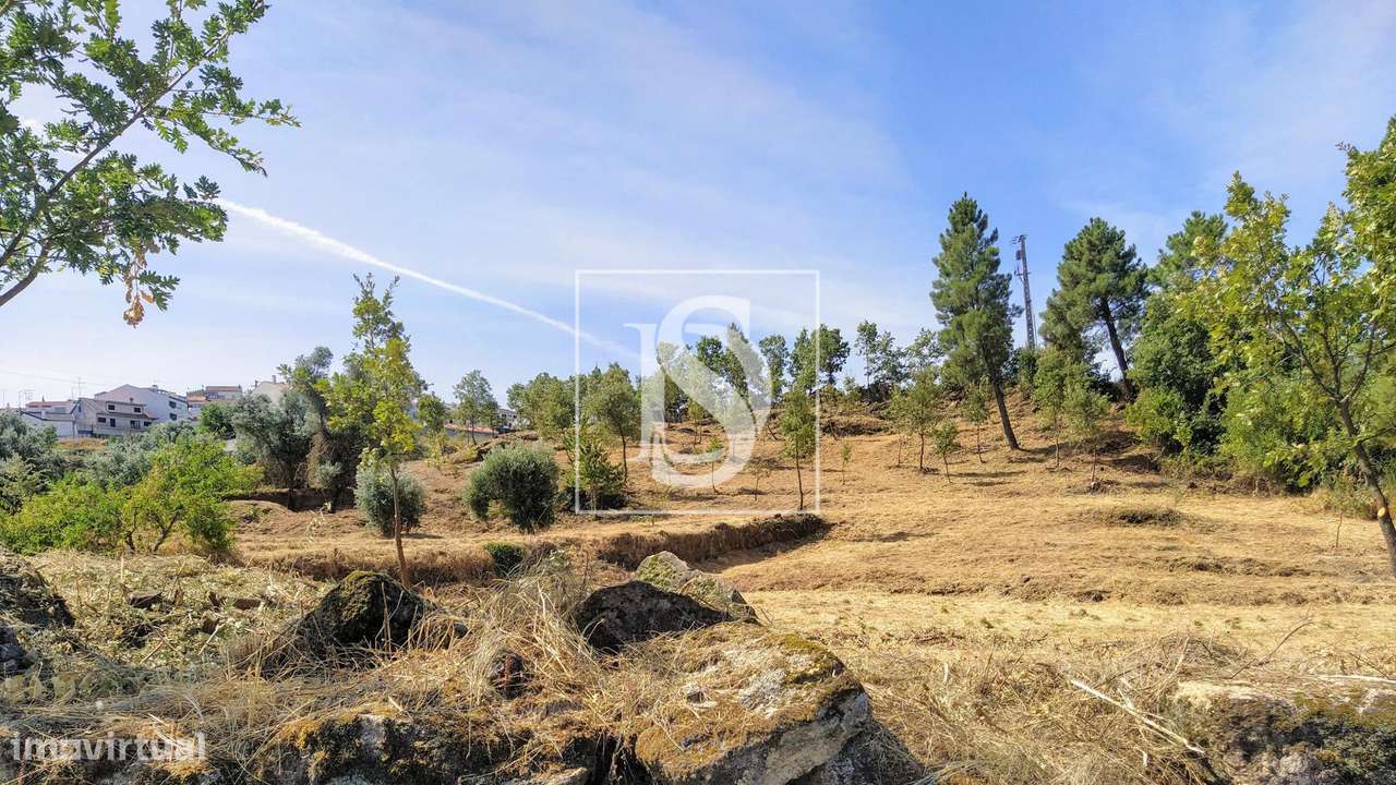Terreno  Venda em Belmonte e Colmeal da Torre,Belmonte-10