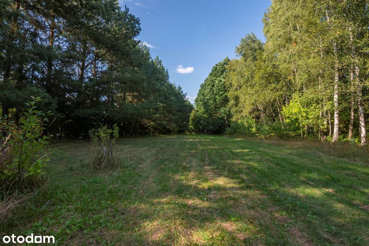 Działka rezydencjonalna w Sobolewie - Pełny obrazek: 5/20