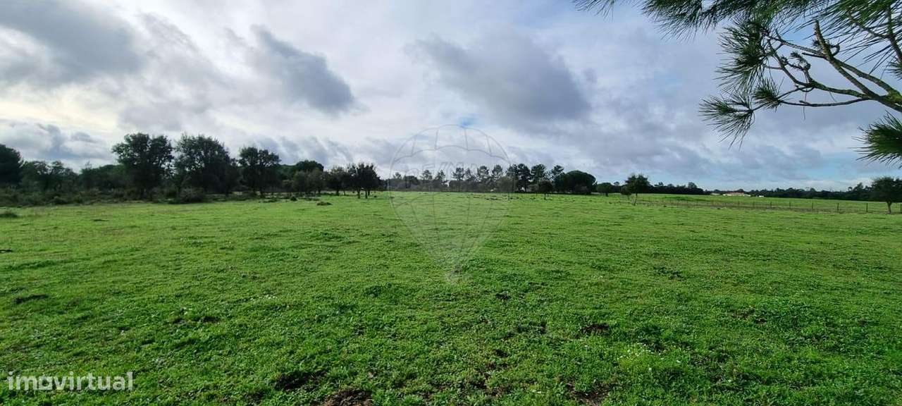 Terreno  para venda - Grande imagem: 5/12