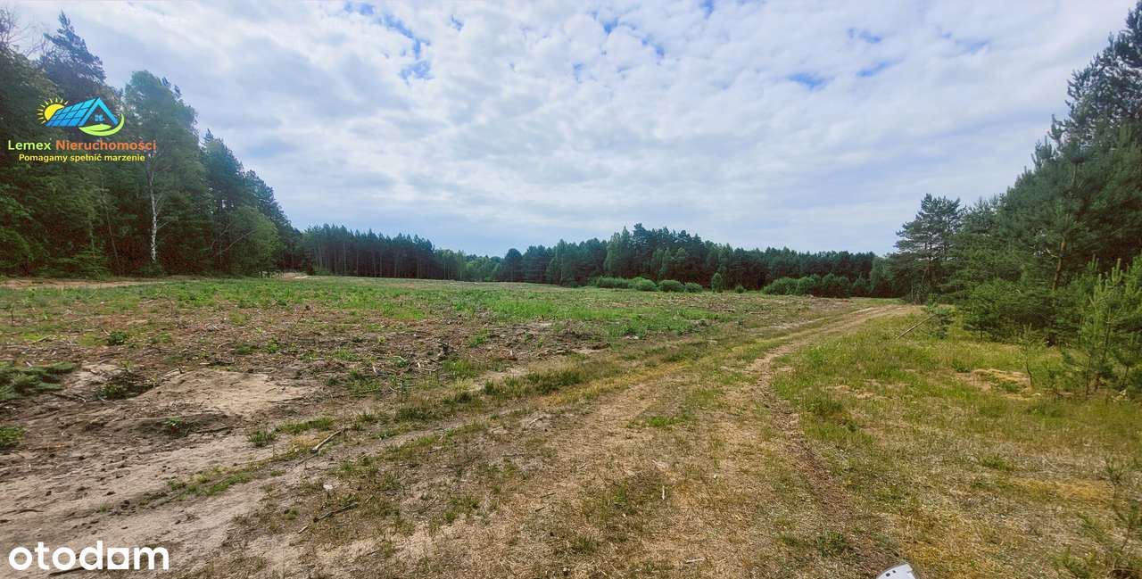 Do sprzedaży duża, atrakcyjna działka o pow 1,9056 HA w Rybakowie - Pełny obrazek: 3/14