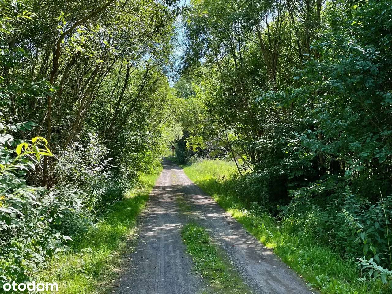 Ładna działka w Ciągowicach - Pełny obrazek: 4/12