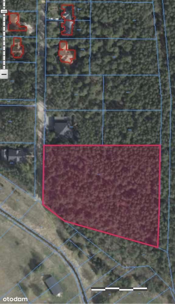 Wyjątkowa działka pod zabudowę w mieście blisko lasu / A unique plot - Pełny obrazek: 5/5