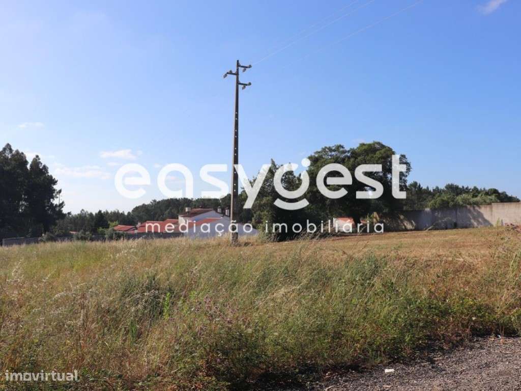 Terreno para Construção com 4 000 m2/ Leiria - Grande imagem: 3/6