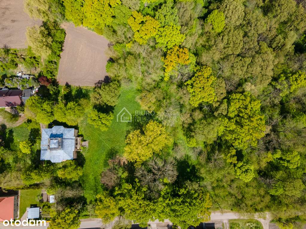 XIX-wieczny dwór w sercu Wielkopolski-7