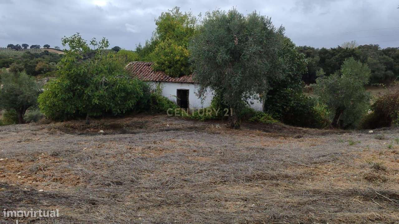 Casa de Campo em São Vicente do Paul, Santarém - Oportunidade Única-27