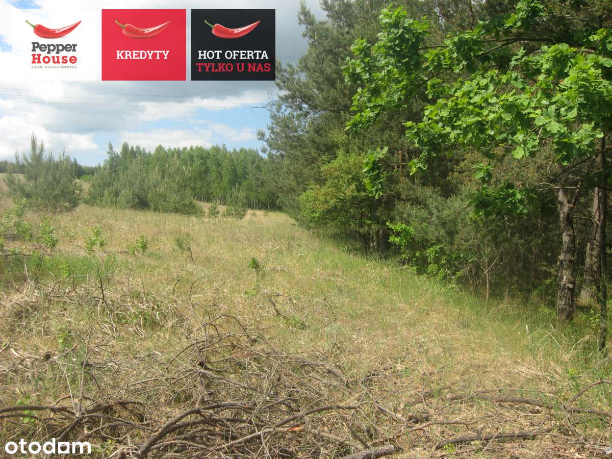 piękna działka Zdrojewo! - Pełny obrazek: 4/5