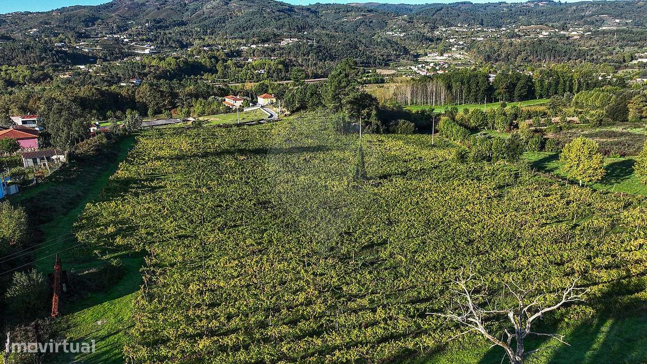 Quinta  para venda - Grande imagem: 3/25