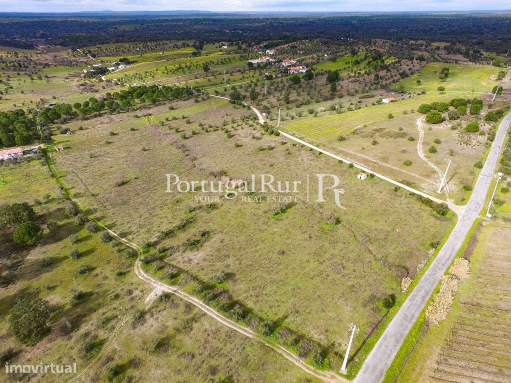 Vinhas do Cabeção - 7,175 hectares - Grande imagem: 5/18