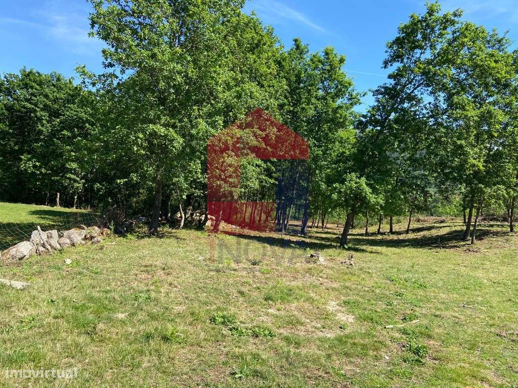 Terreno Agrícola, Valbom São Pedro - Grande imagem: 3/12