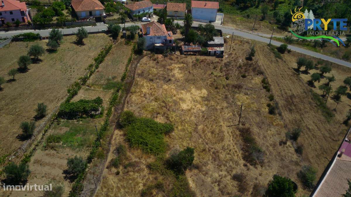 Quintinha situada perto de Cernache do Bonjardim-19