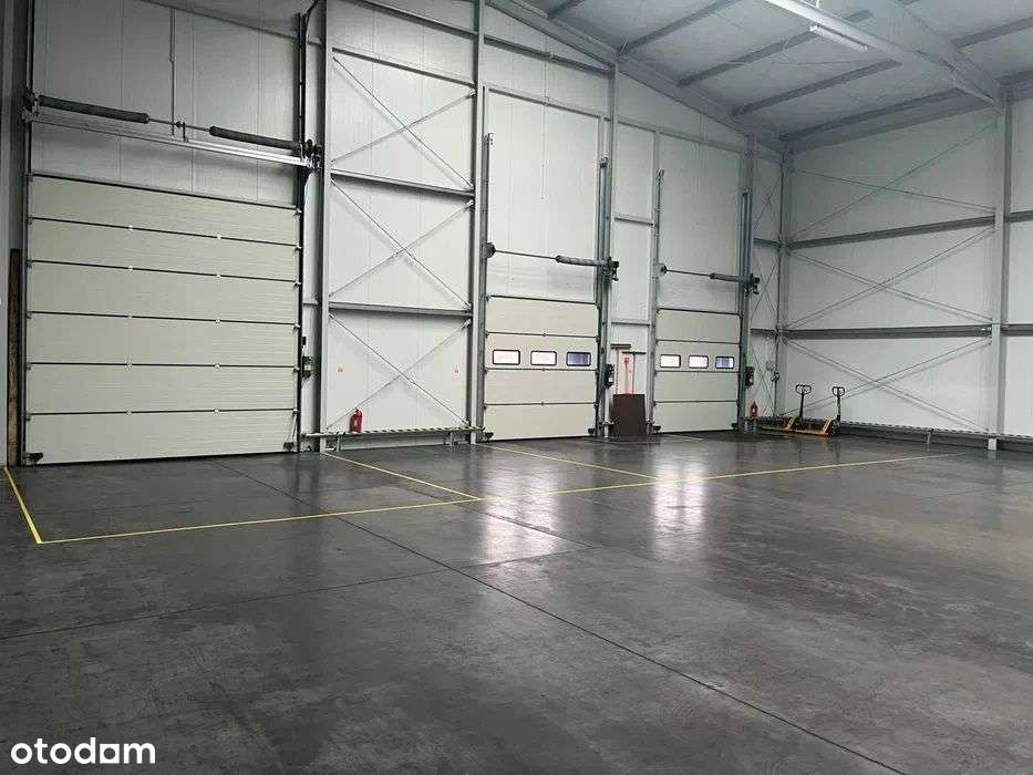 Magazynu z obsługą, miejsc paletowych, cross-docki - Pełny obrazek: 4/5