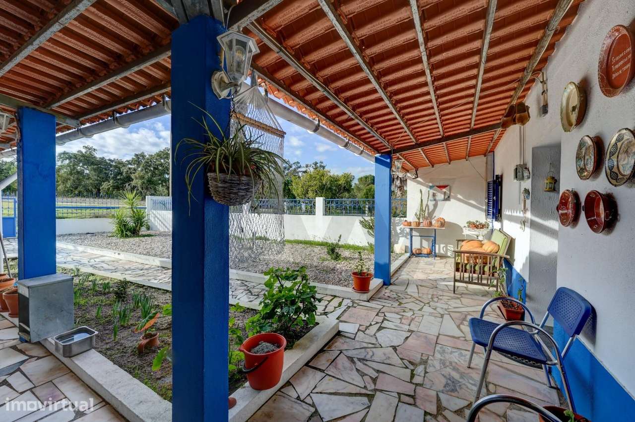 Monte de Sonho em Lavre: T5 com Piscina, Pomar e Autossuficiência Ener - Grande imagem: 4/60