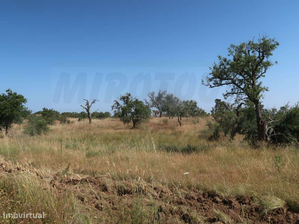 Refúgio rural de amplo potencial - Grande imagem: 3/26