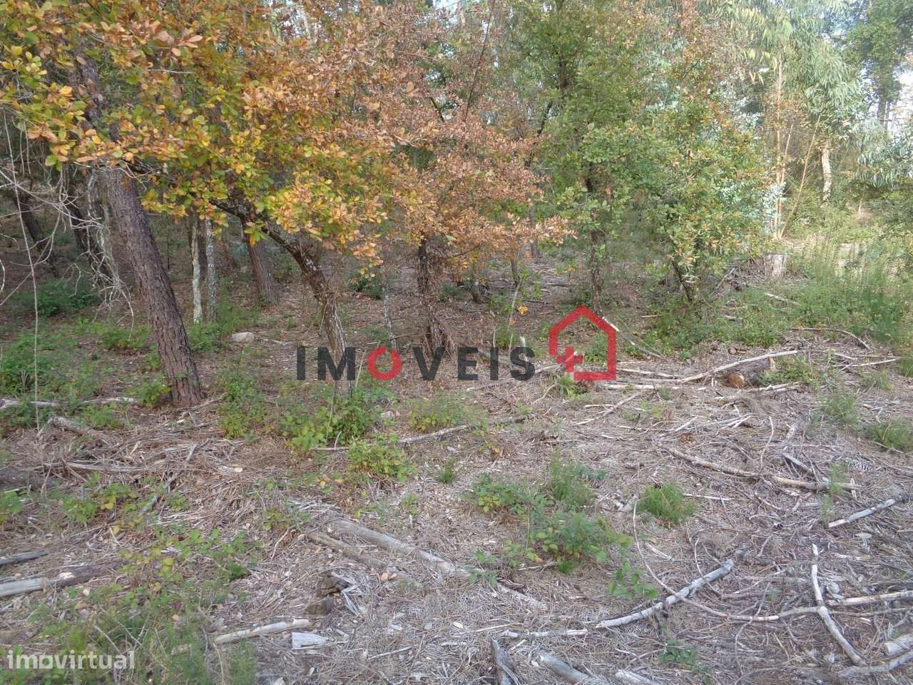 Terreno para Construção - Grande imagem: 4/5