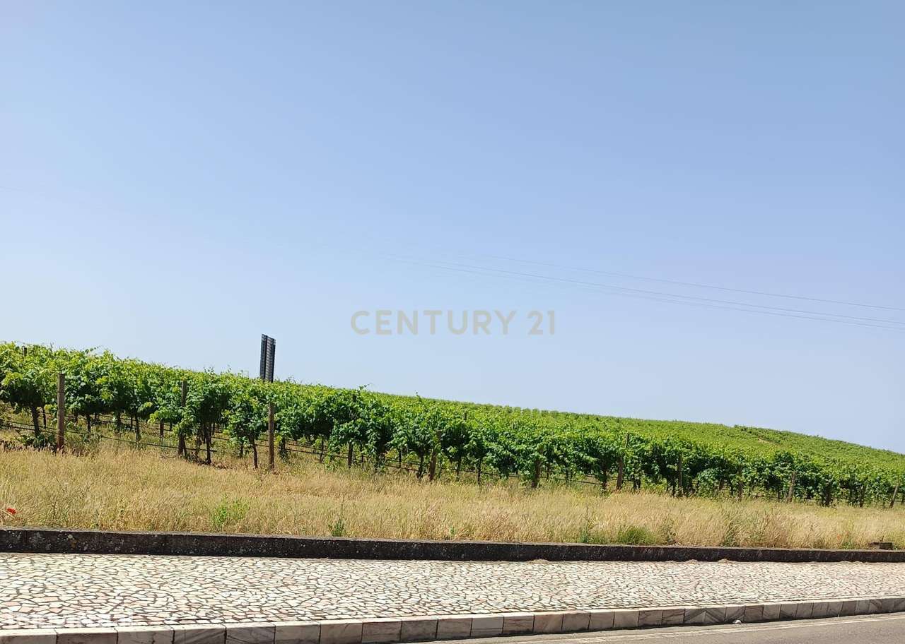 Espaçosa Moradia para Recuperação em Estremoz-17