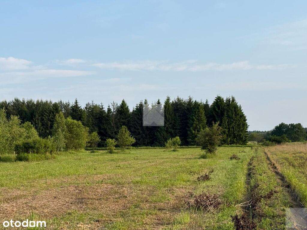 Działka rekreacyjna | WZ | Cienkie-0