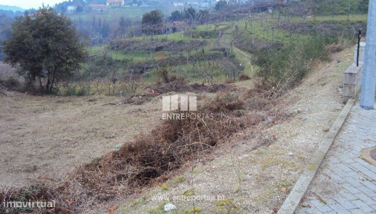 Venda Lote de Terreno com possibilidade de construção, Lomba, Amaran - Grande imagem: 5/30