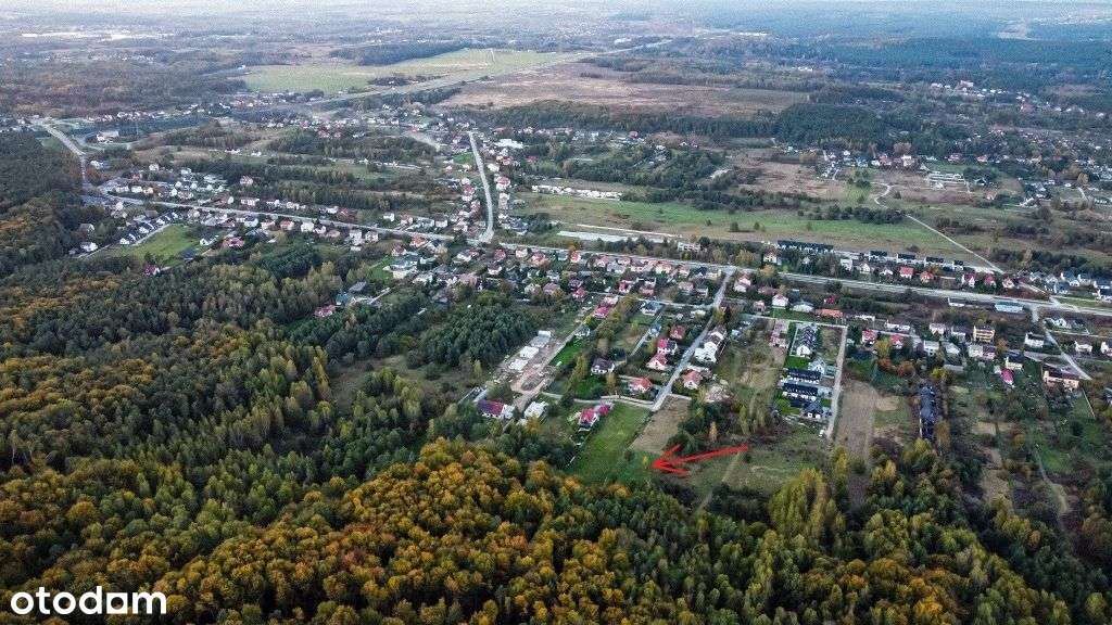 Działka budowlana z własnym lasem-4