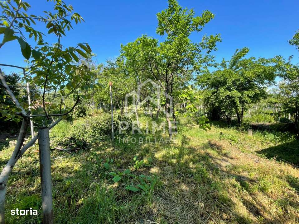 Casa individuala cu 3 dormitoare | teren 886 mp | Sebes | Zona Ultrace-3
