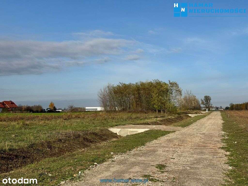 Duża działka blisko autostrady A2 !!!-3
