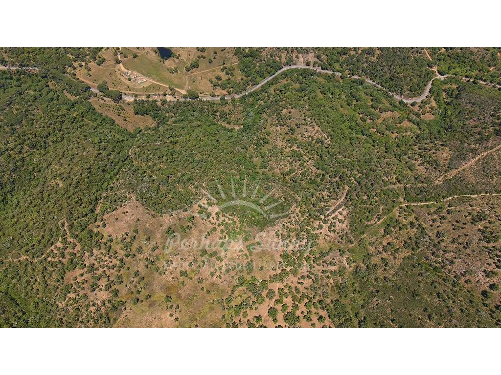 Propriedade Rústica de Montado com Ribeira | 22,6 Hectares | Serra ...-13