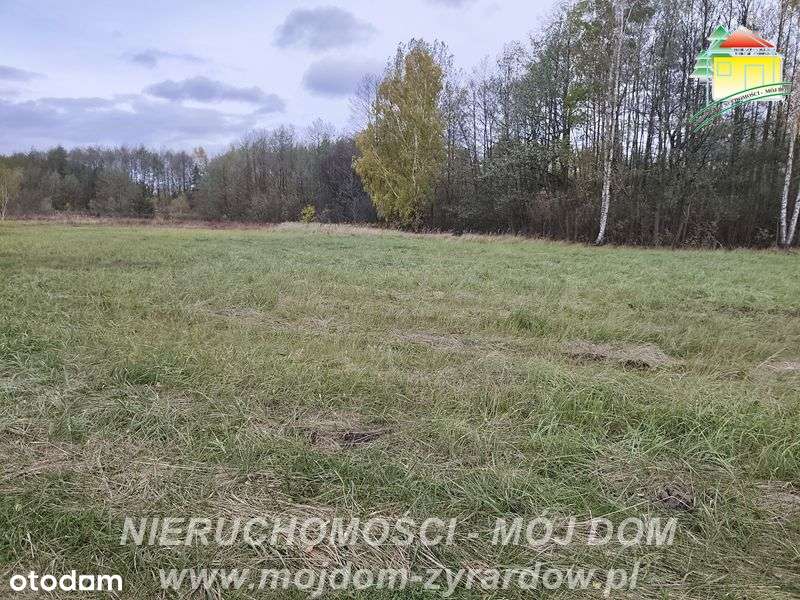 Polecamy działkę budowalną w dobrej cenie - Pełny obrazek: 4/6