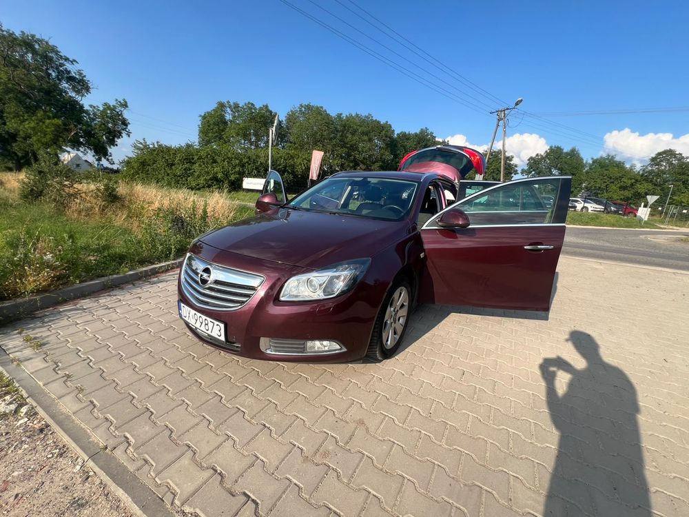 Opel Insignia A (2008-2017) 2013