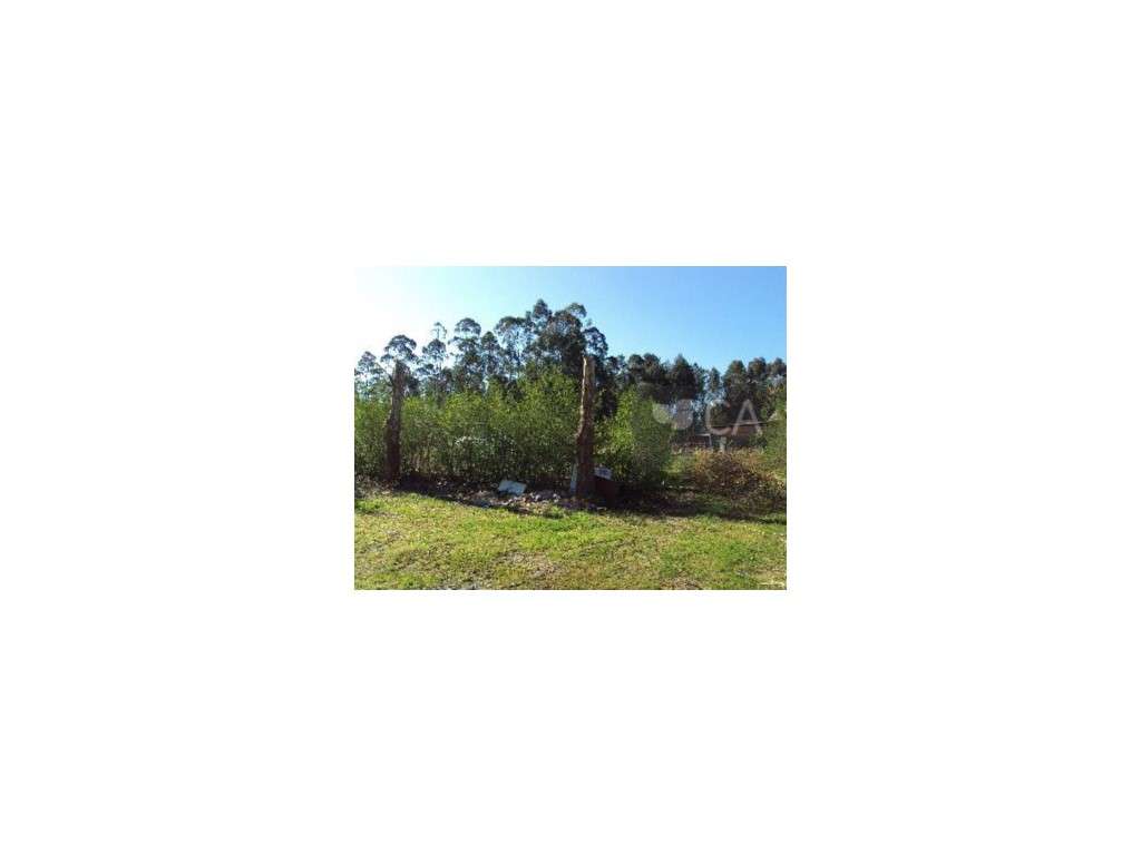 Lote 6 do Loteamento Ouro Verde - Grande imagem: 2/2