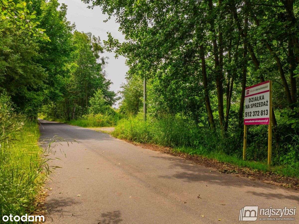 Zieleniewo - Działka blisko jeziora Miedwie - Pełny obrazek: 3/19