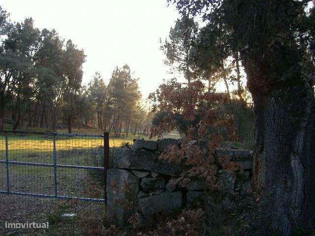 Quinta em Chaves Terreno 50 Ha (500 mil M2) Construção 1.593 m2-31