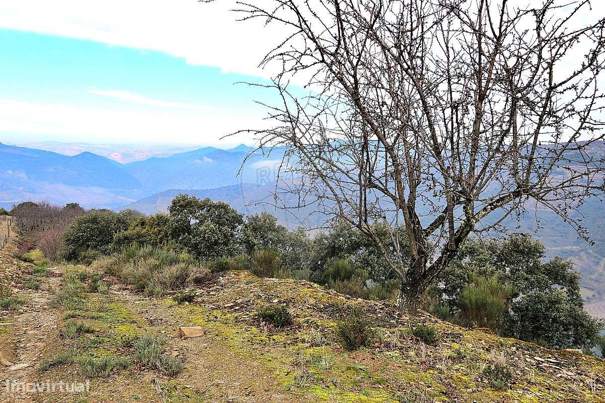 Quinta  para venda - Grande imagem: 5/13