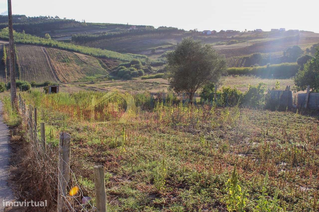 Terreno  Venda em Bombarral e Vale Covo,Bombarral-8