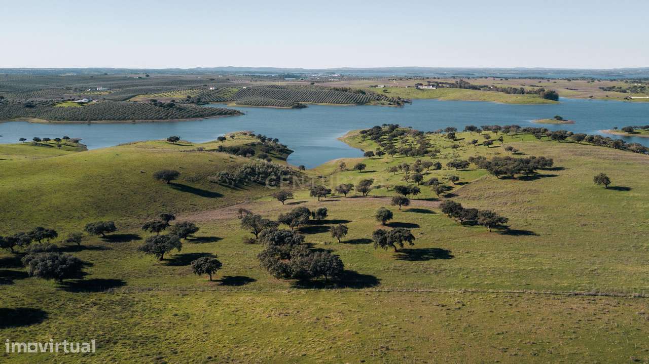 Herdade dos Castelhanos -  190 Hectares, Moura, Alentejo-0