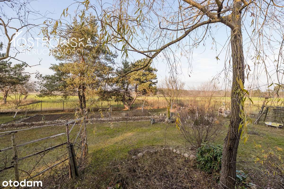 Dom wolnostojący/dz.2016m2/ziel okolica k/Pułtuska - Pełny obrazek: 5/20