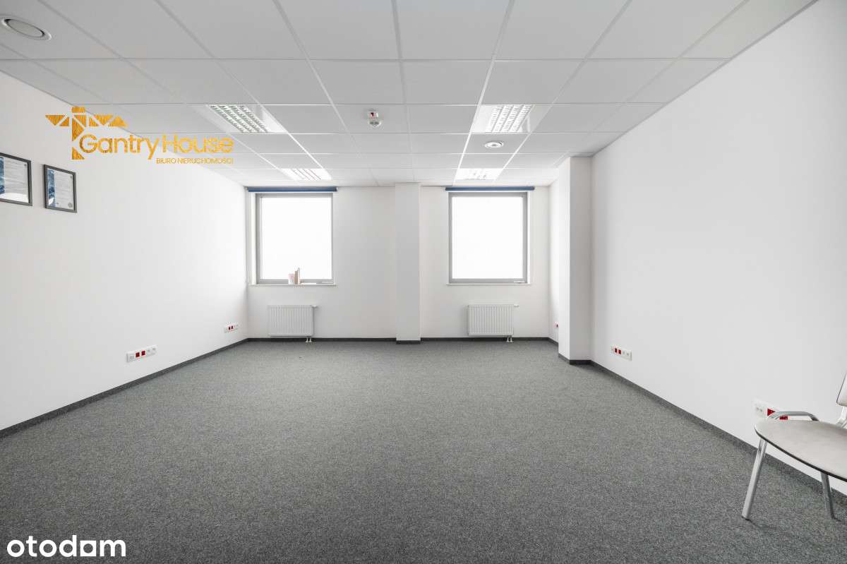 428361 - Pełny obrazek: 3/13