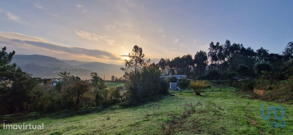 Terreno em Mafra de 5857,00 m2 - Grande imagem: 1/26