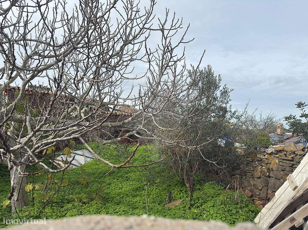 Arrecadação  para venda - Grande imagem: 3/12