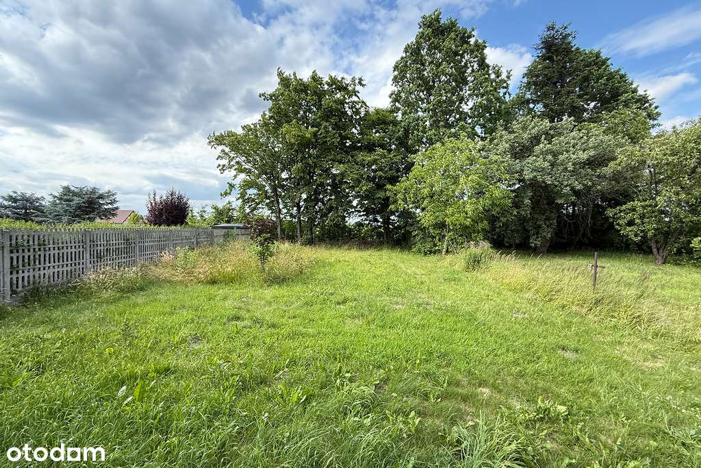 Duzy dom na ul. Skaryszewskiej-13