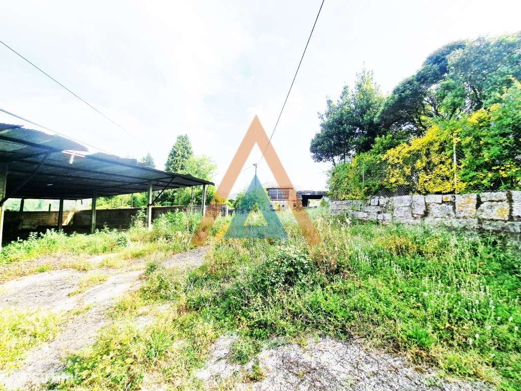 Maravilhosa quinta com casa e terreno-23