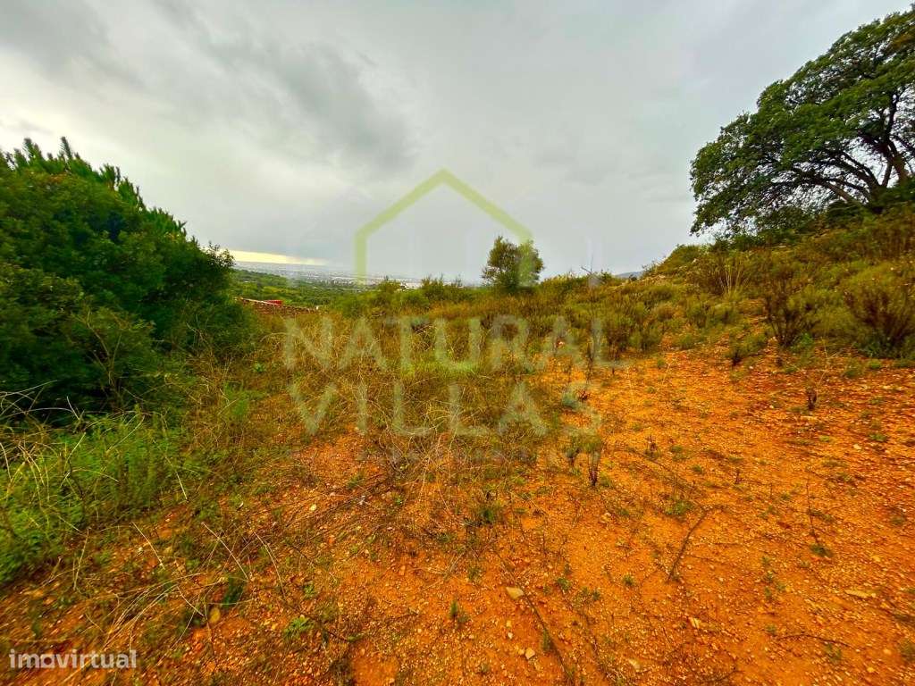 Terreno Rústico em Alcaria Branca, Estoi - Grande imagem: 2/7